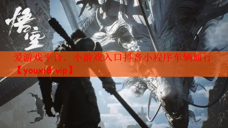 小游戏入口抖音小程序车辆通行